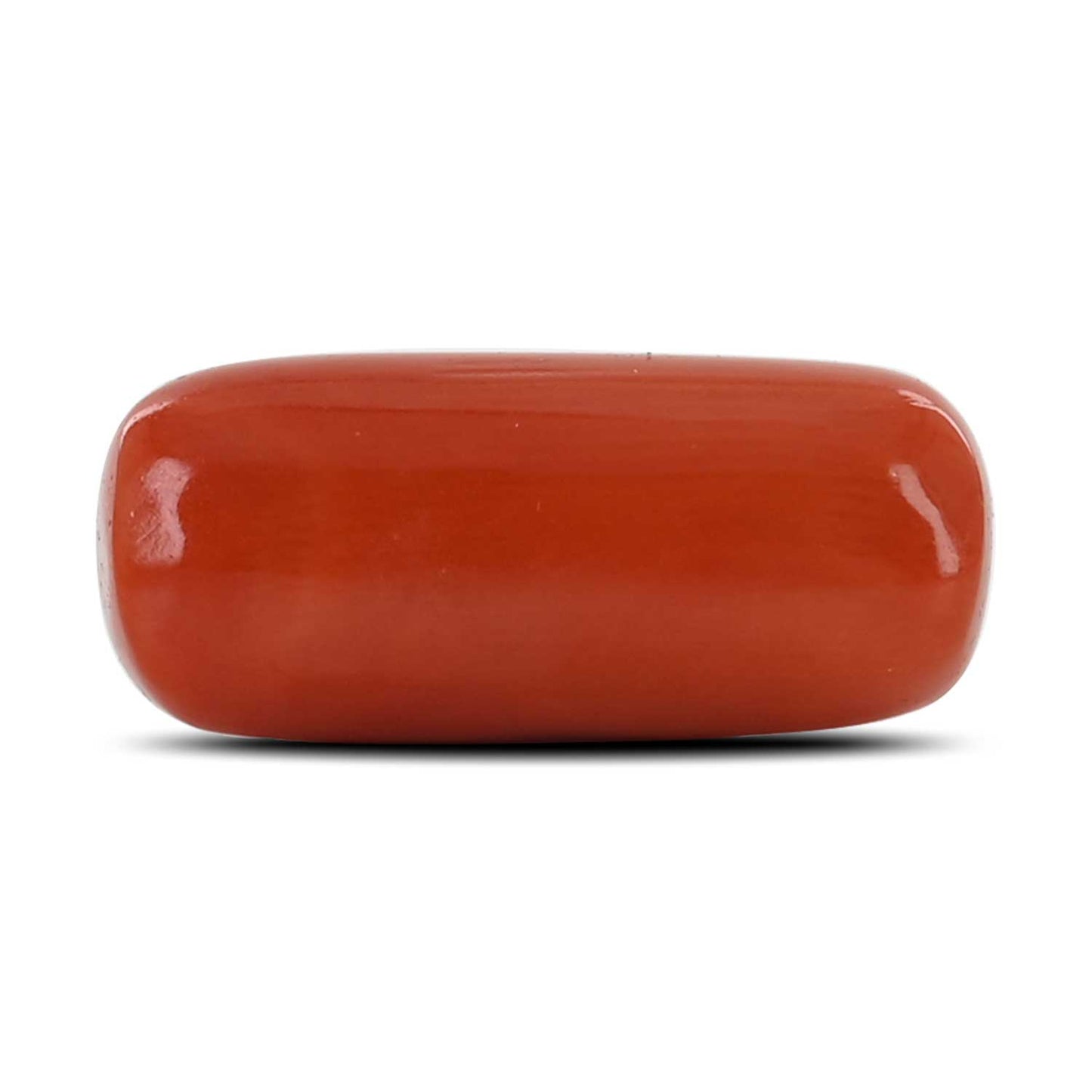 Red Coral (Moonga) - 12.2 Carat