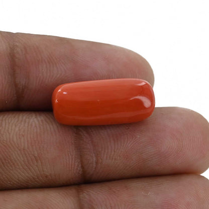 Red Coral (Moonga) - 12.2 Carat
