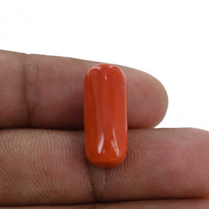 Red Coral (Moonga) - 12.2 Carat