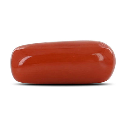 Red Coral (Moonga) - 8.49 Carat