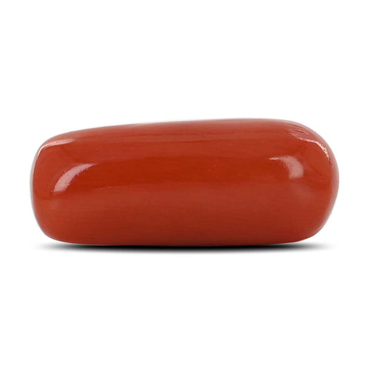 Red Coral (Moonga) - 8.49 Carat