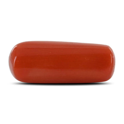 Red Coral (Moonga) - 8.49 Carat