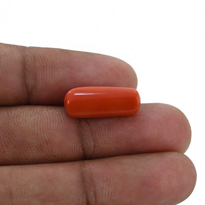 Red Coral (Moonga) - 8.49 Carat
