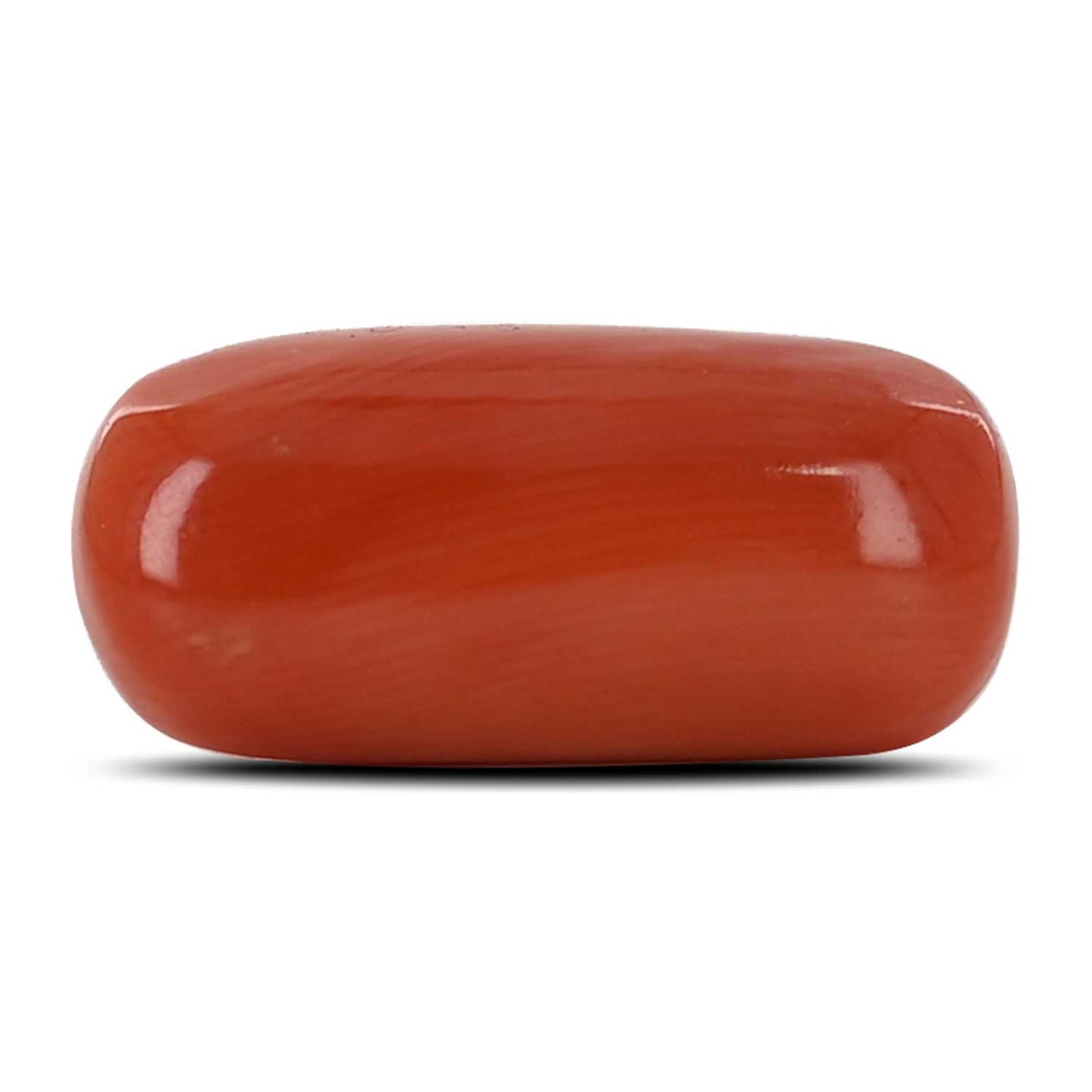 Red Coral (Moonga) - 10.88 Carat