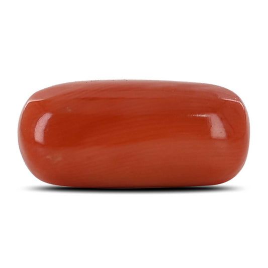 Red Coral (Moonga) - 10.88 Carat