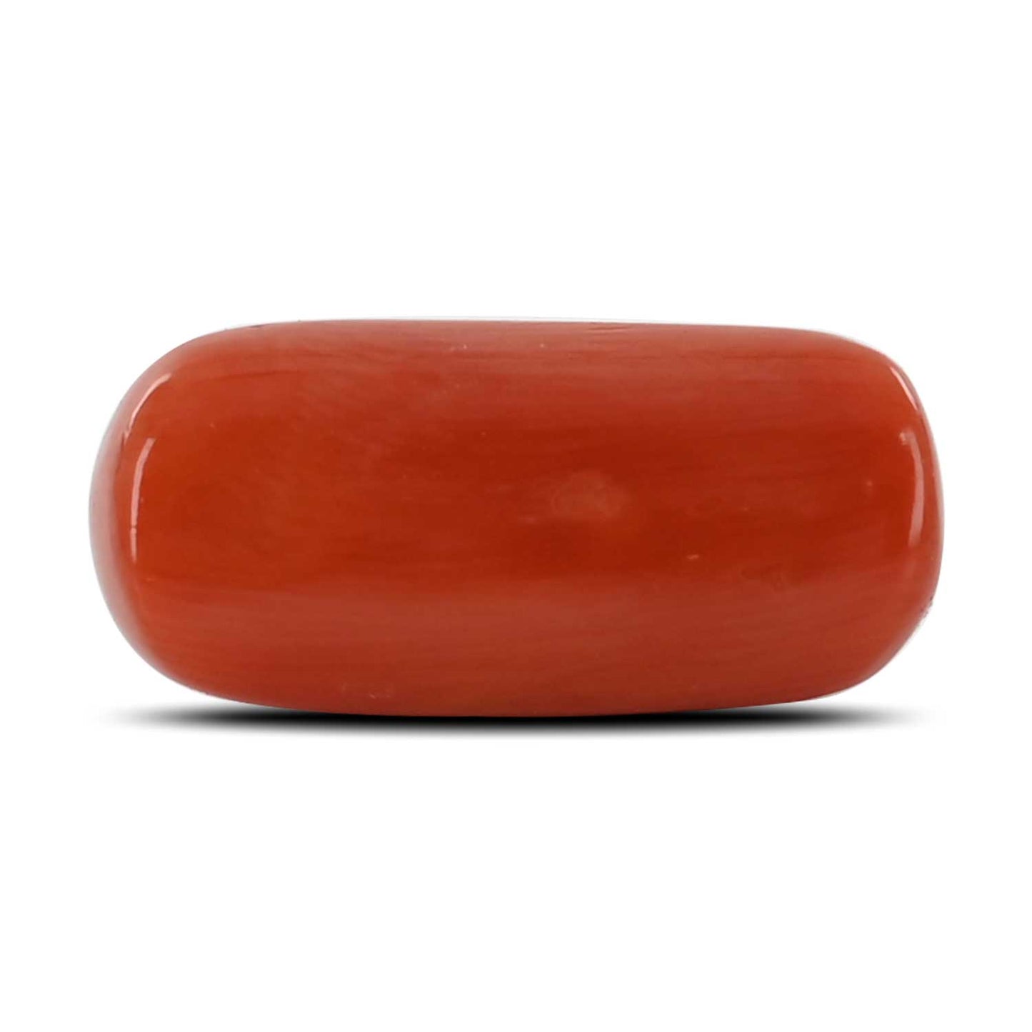 Red Coral (Moonga) - 10.88 Carat