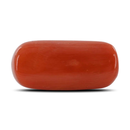 Red Coral (Moonga) - 10.88 Carat