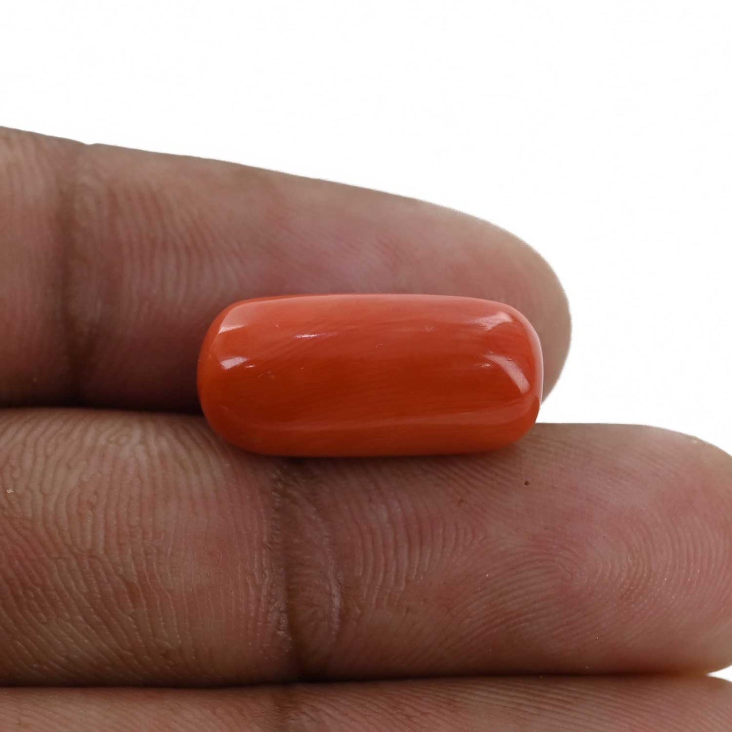 Red Coral (Moonga) - 10.88 Carat