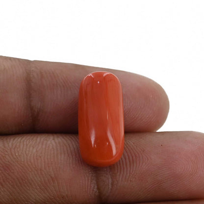 Red Coral (Moonga) - 10.88 Carat