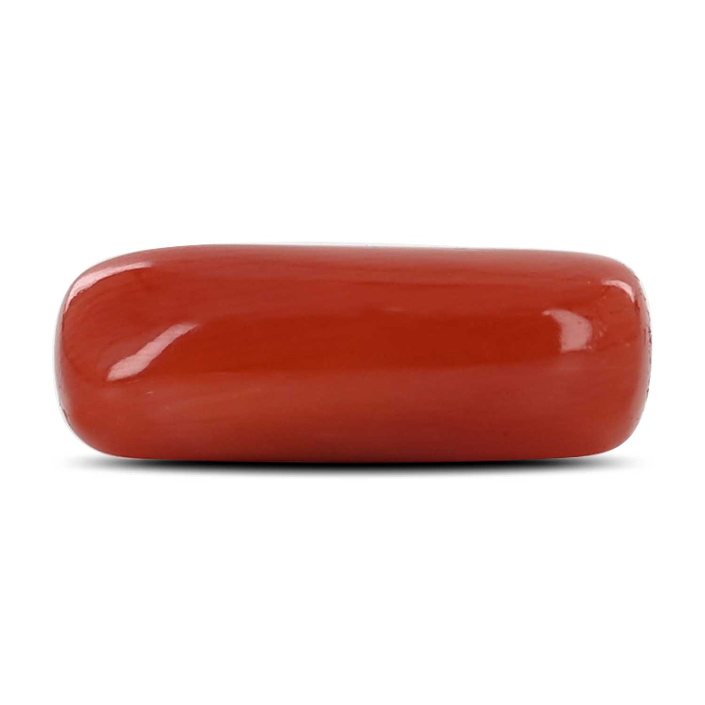 Red Coral (Moonga) - 8.58 Carat