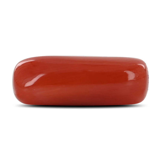 Red Coral (Moonga) - 8.58 Carat