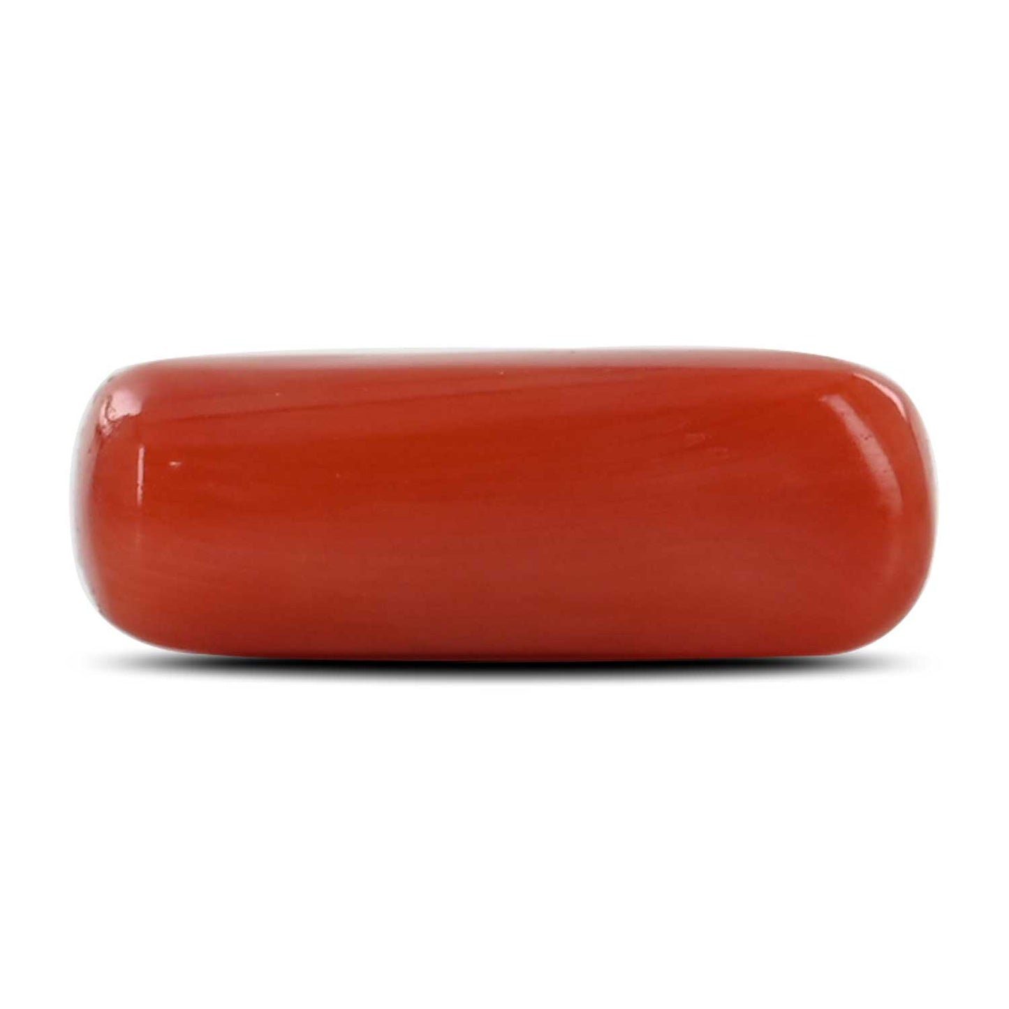 Red Coral (Moonga) - 8.58 Carat