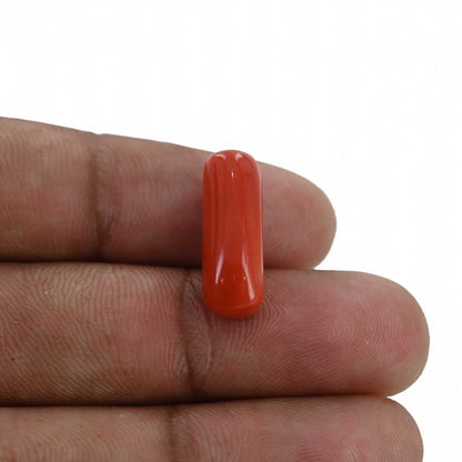 Red Coral (Moonga) - 8.58 Carat