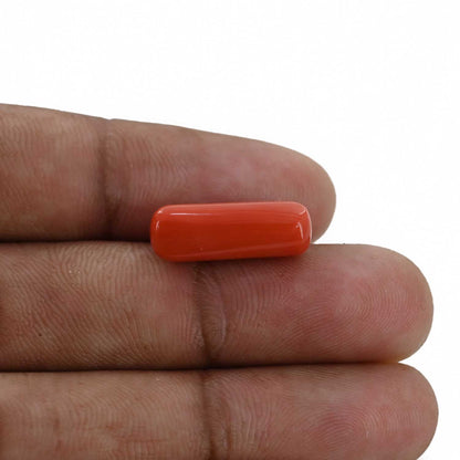 Red Coral (Moonga) - 8.58 Carat