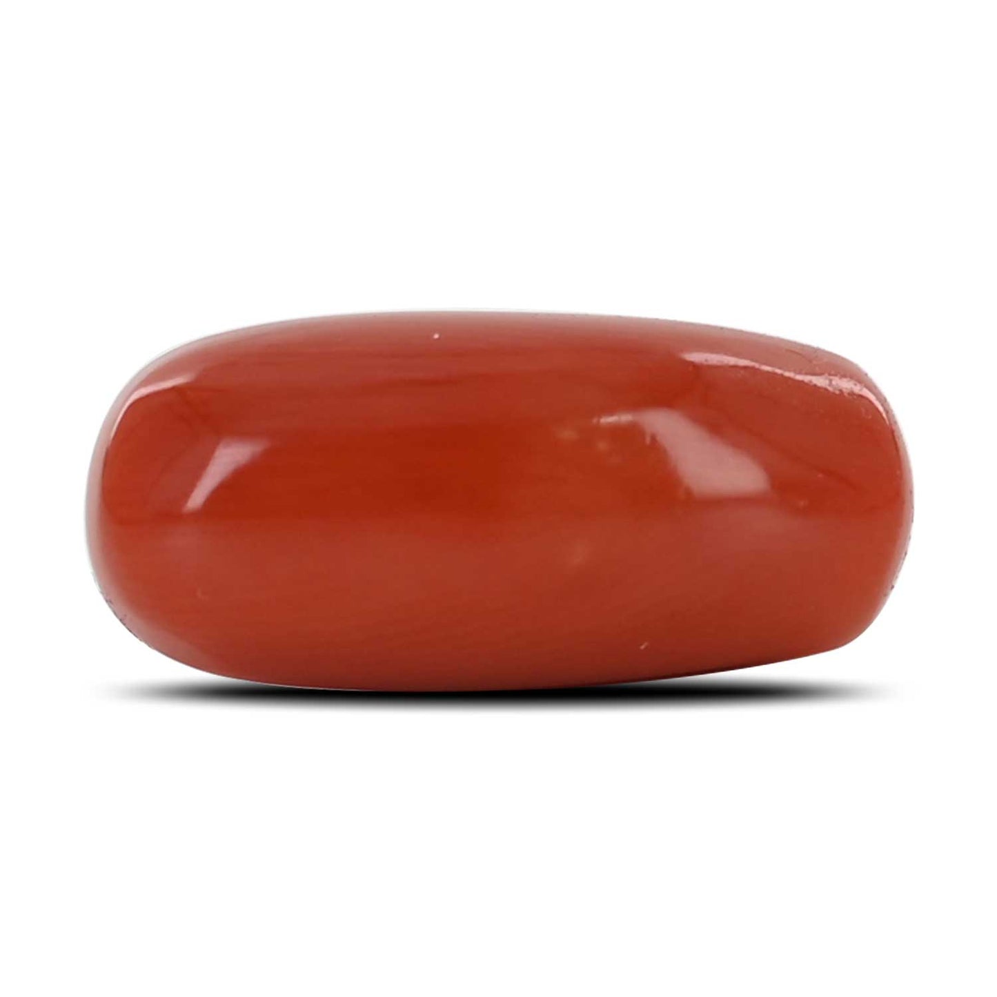 Red Coral (Moonga) - 11.78 Carat