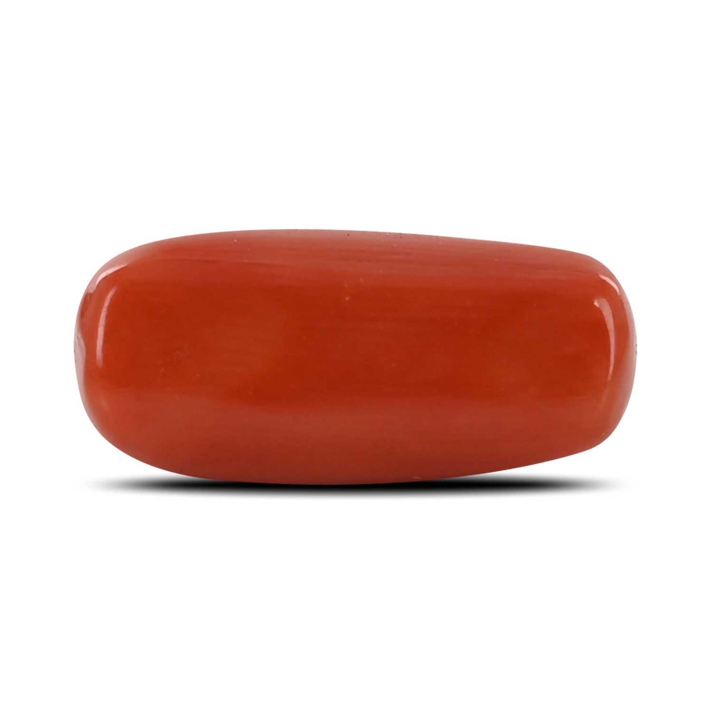 Red Coral (Moonga) - 11.78 Carat