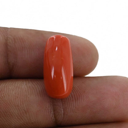 Red Coral (Moonga) - 11.78 Carat