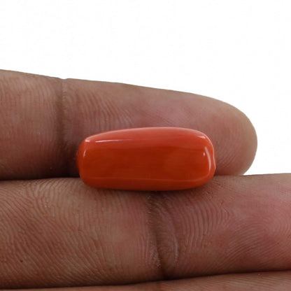 Red Coral (Moonga) - 11.78 Carat