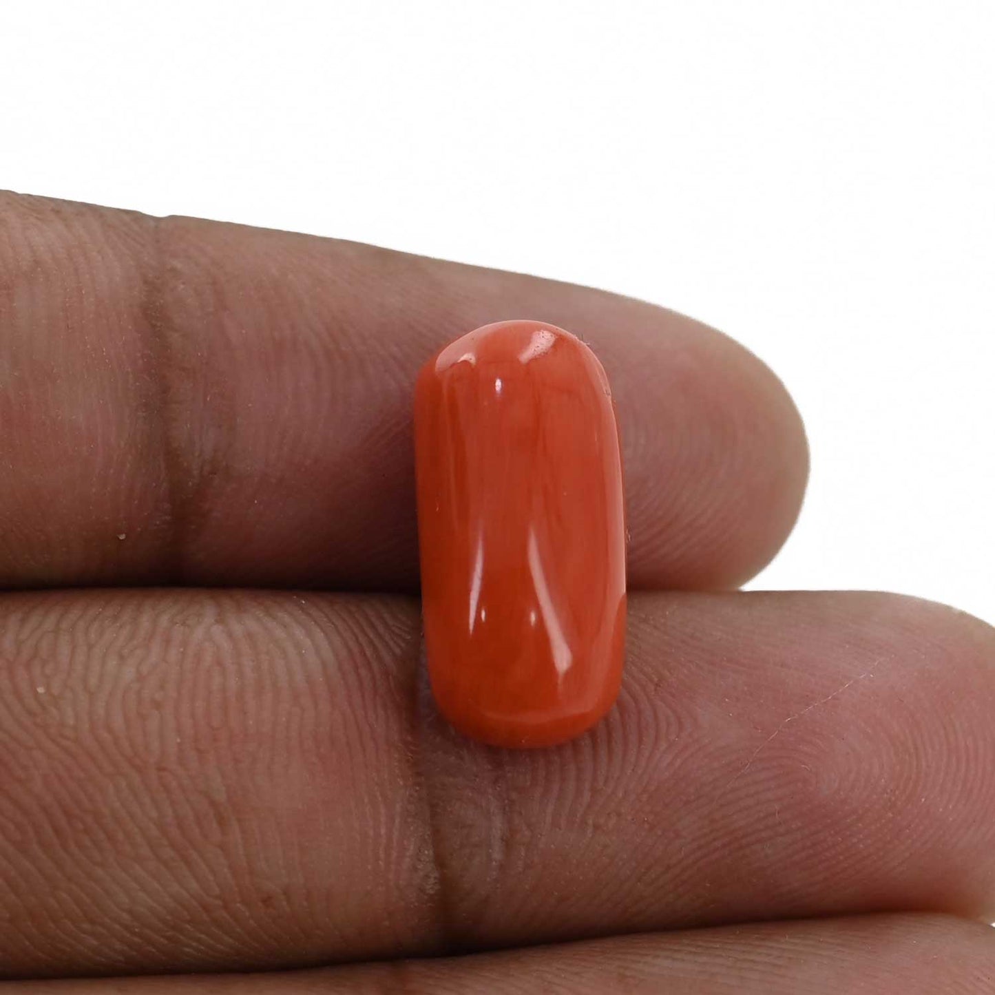 Red Coral (Moonga) - 9.71 Carat