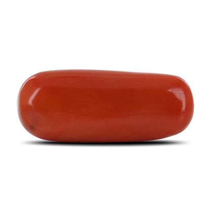 Red Coral (Moonga) - 10.2 Carat