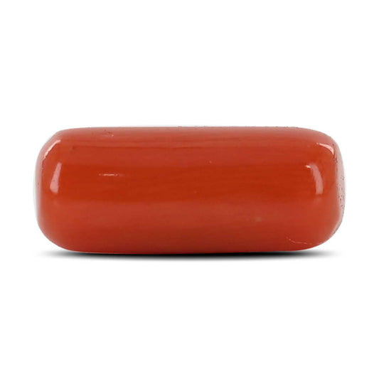 Red Coral (Moonga) - 8.19 Carat