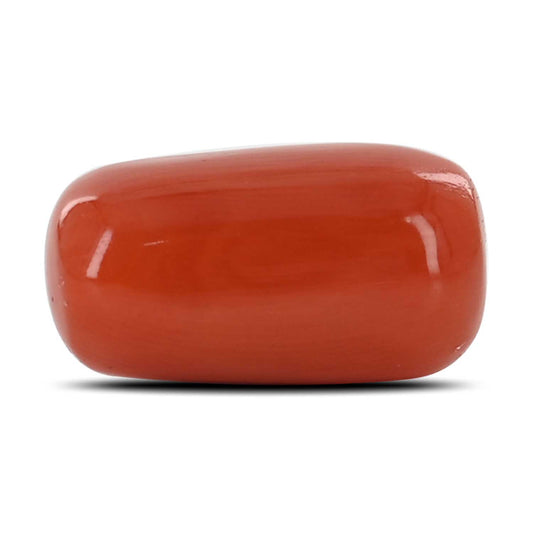 Red Coral (Moonga) - 9.72 Carat