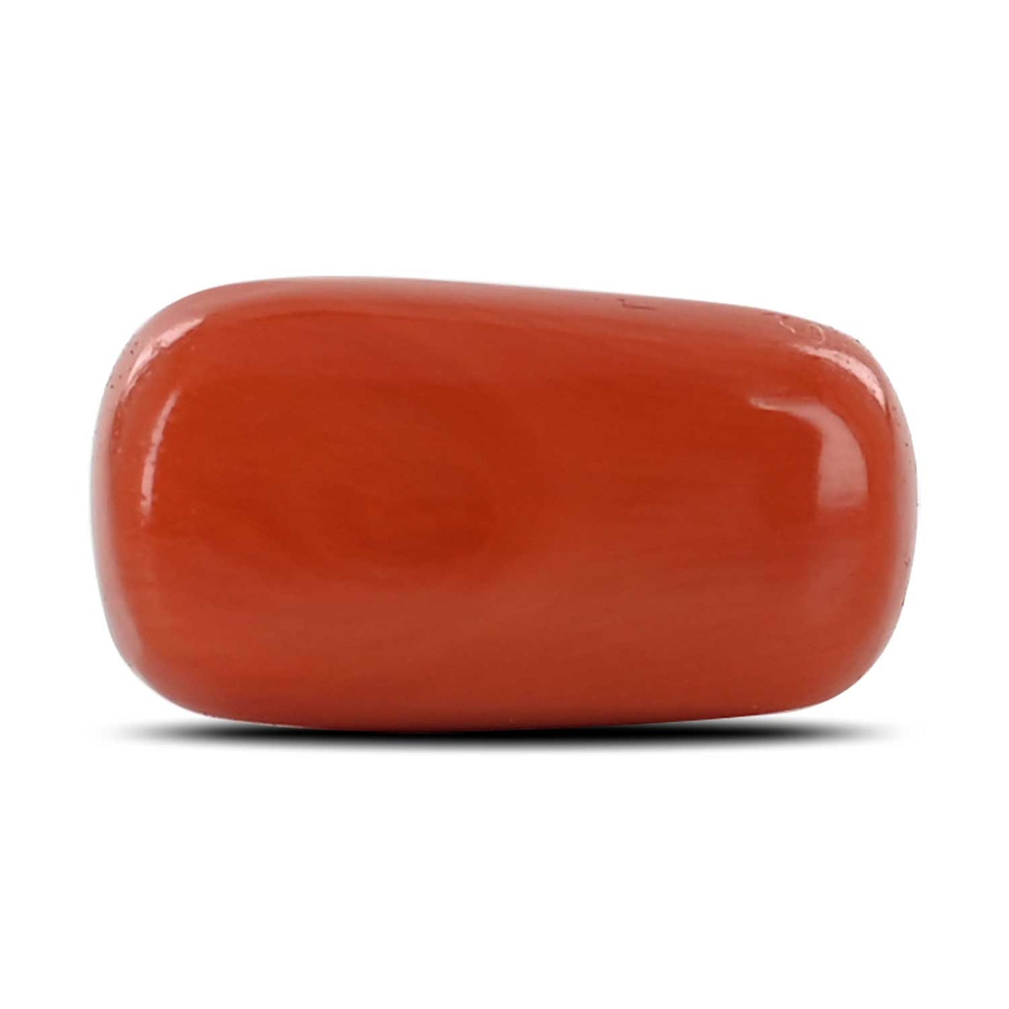 Red Coral (Moonga) - 9.72 Carat