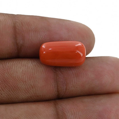 Red Coral (Moonga) - 9.72 Carat
