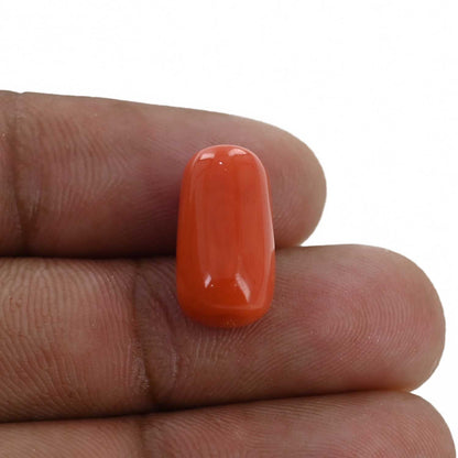 Red Coral (Moonga) - 9.72 Carat