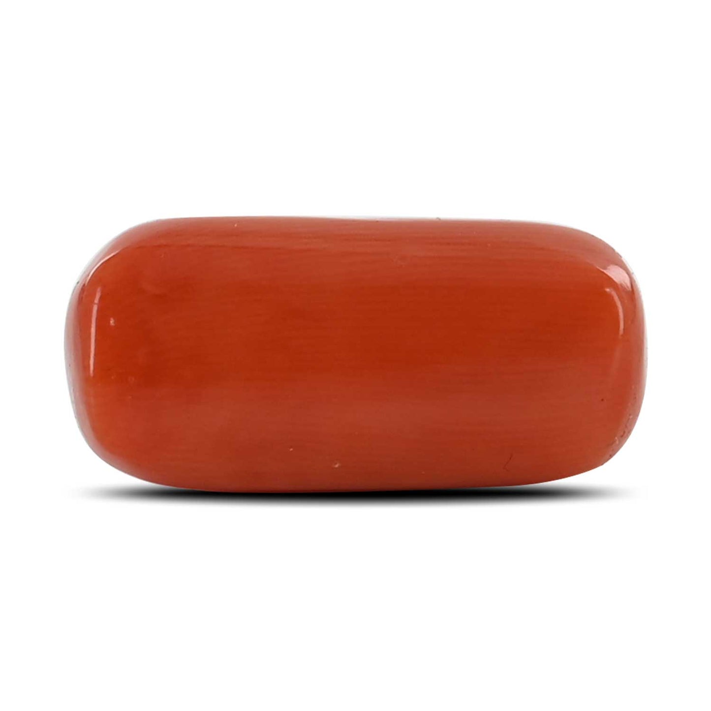 Red Coral (Moonga) - 11.76 Carat