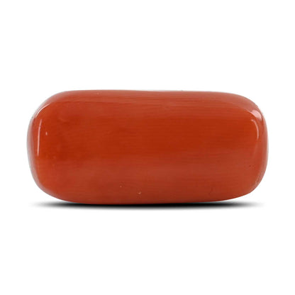 Red Coral (Moonga) - 11.76 Carat