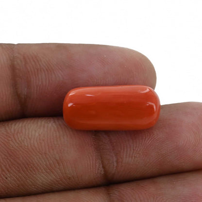 Red Coral (Moonga) - 11.76 Carat