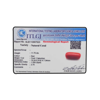 Red Coral (Moonga) - 11.76 Carat