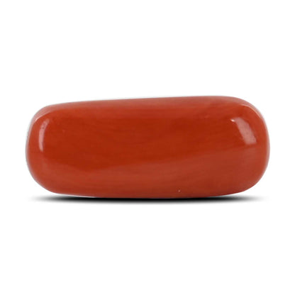 Red Coral (Moonga) - 8.84 Carat