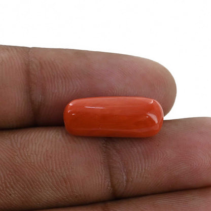 Red Coral (Moonga) - 8.84 Carat