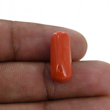 Red Coral (Moonga) - 8.84 Carat