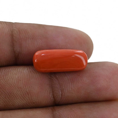 Red Coral (Moonga) - 8.84 Carat