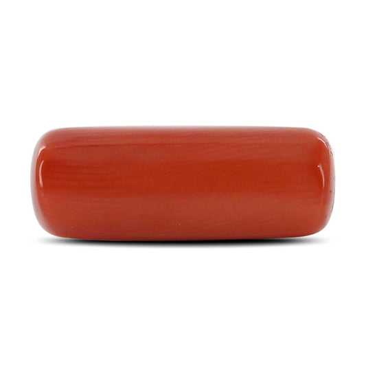 Red Coral (Moonga) - 8.03 Carat