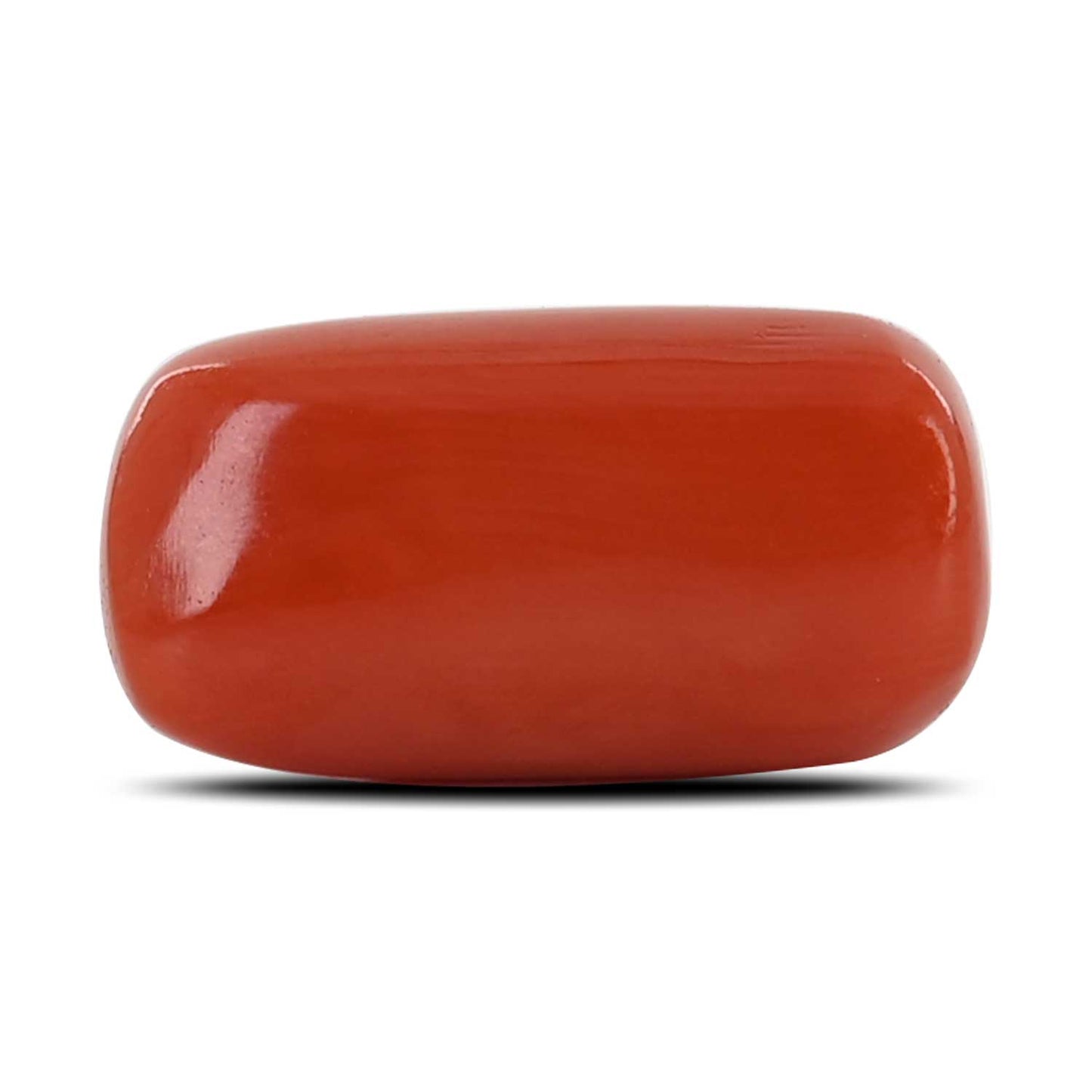 Red Coral (Moonga) - 10.69 Carat