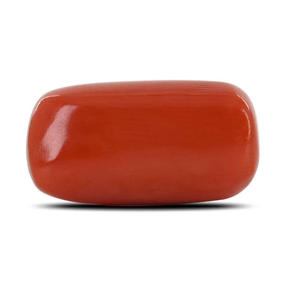 Red Coral (Moonga) - 10.69 Carat
