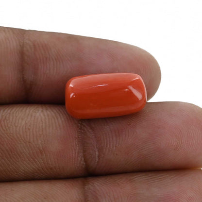 Red Coral (Moonga) - 10.69 Carat