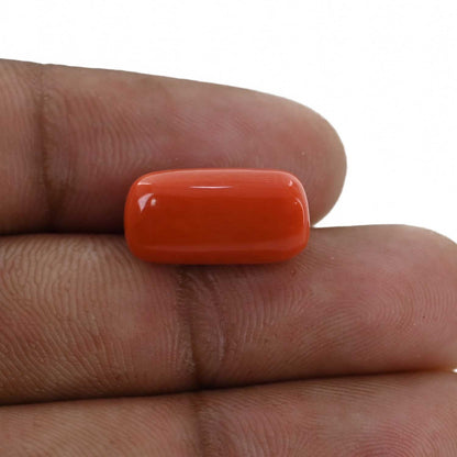 Red Coral (Moonga) - 10.69 Carat
