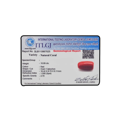 Red Coral (Moonga) - 10.69 Carat