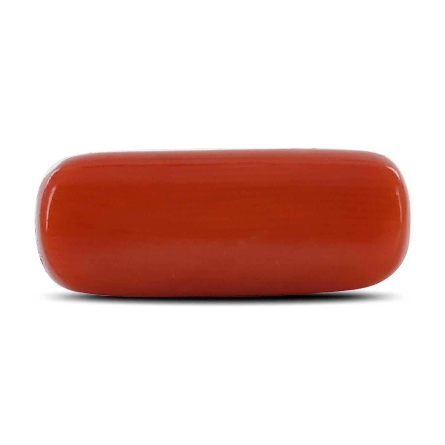 Red Coral (Moonga) - 8.16 Carat