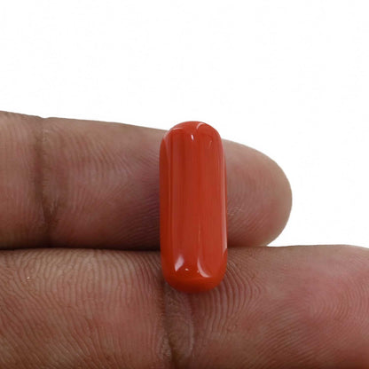 Red Coral (Moonga) - 8.16 Carat