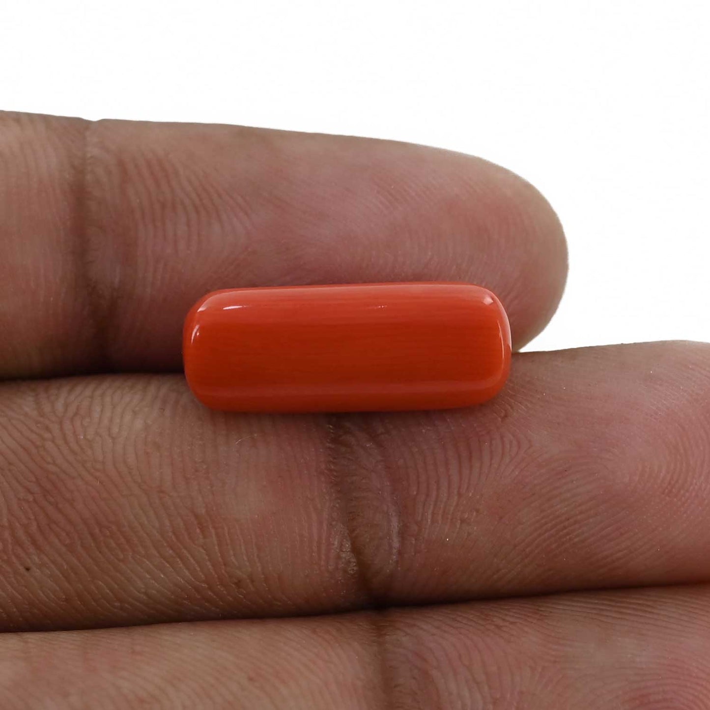 Red Coral (Moonga) - 8.16 Carat