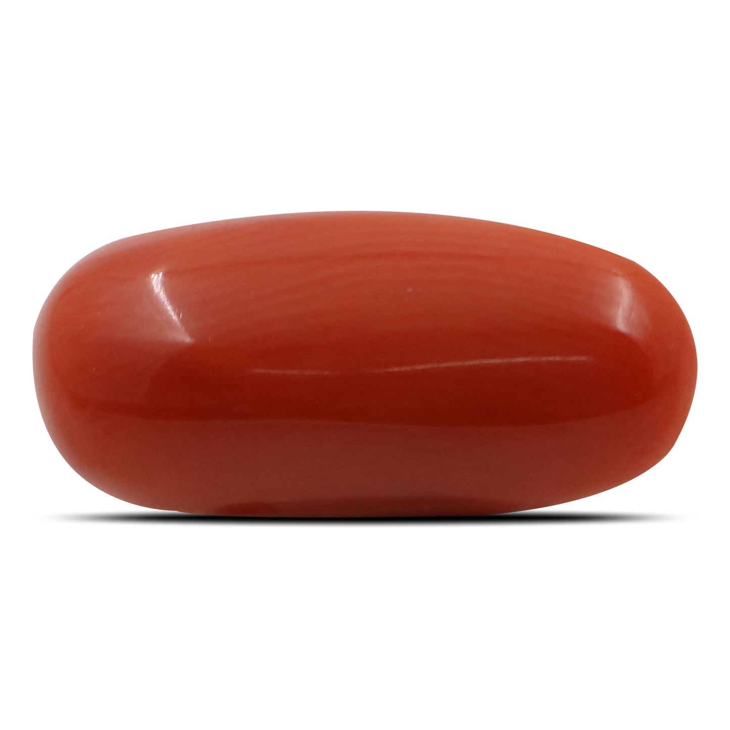 Red Coral (Moonga) - 6.61 Carat