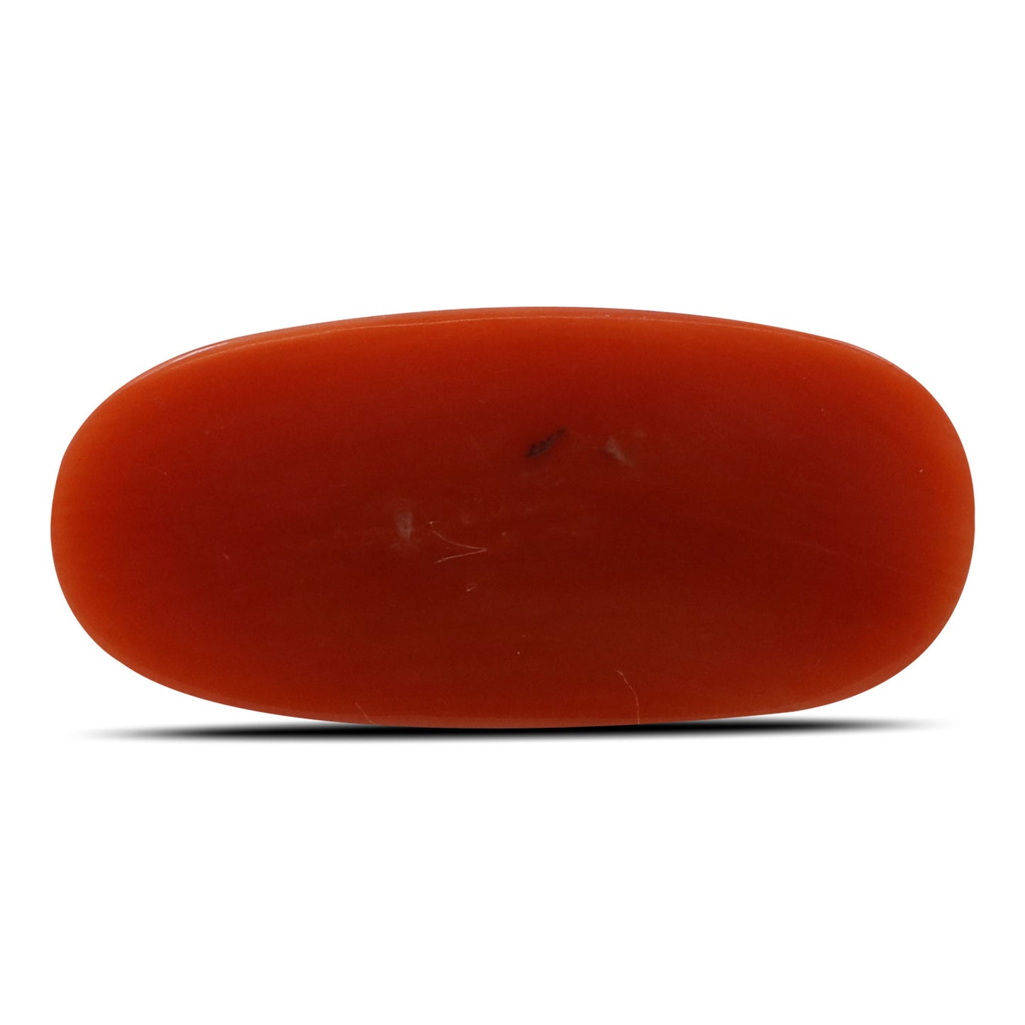 Red Coral (Moonga) - 6.61 Carat