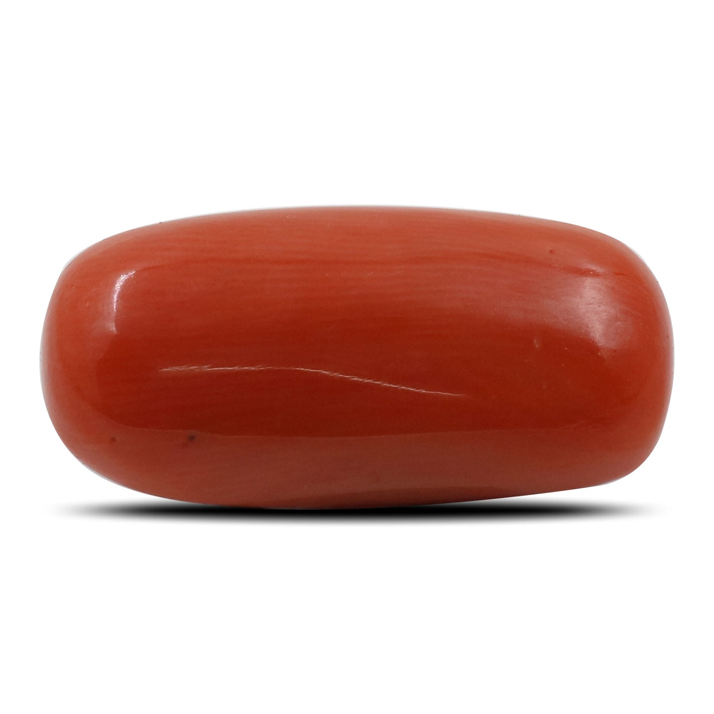 Red Coral (Moonga) - 8.83 Carat