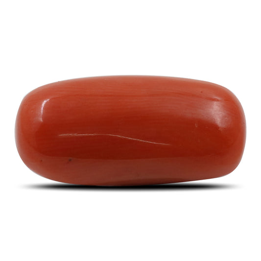 Red Coral (Moonga) - 8.83 Carat